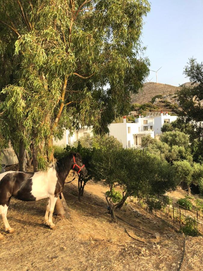 Mourtzanakis Residence - Traditional Eco Hotel In Achlada Luaran gambar